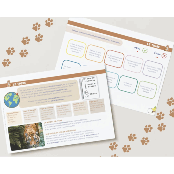 Etoilium - Livret Les Animaux Sauvages – Image 4